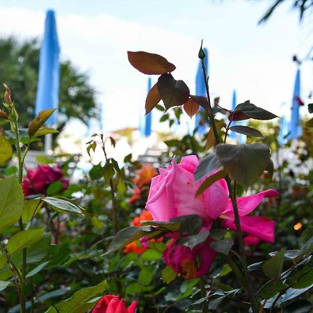 Hotel Majestic Lido di Jesolo Ngoại thất bức ảnh